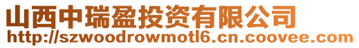 山西中瑞盈投資有限公司