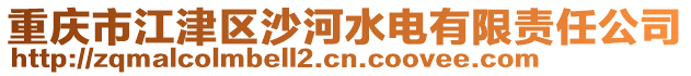重慶市江津區(qū)沙河水電有限責(zé)任公司