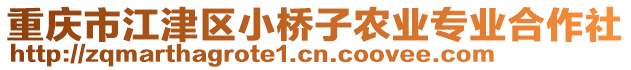 重慶市江津區(qū)小橋子農(nóng)業(yè)專業(yè)合作社