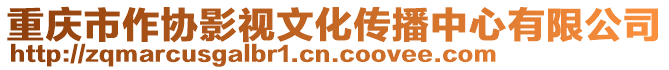 重慶市作協(xié)影視文化傳播中心有限公司