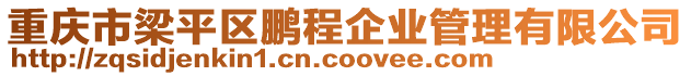 重慶市梁平區鵬程企業管理有限公司