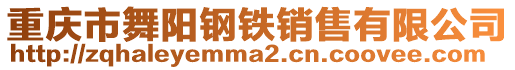 重庆市舞阳钢铁销售有限公司