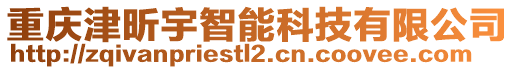 重慶津昕宇智能科技有限公司