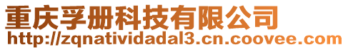 重慶孚冊科技有限公司