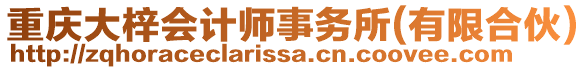 重慶大梓會計師事務(wù)所(有限合伙)