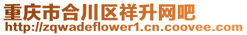 重慶市合川區祥升網吧