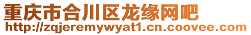 重慶市合川區(qū)龍緣網(wǎng)吧