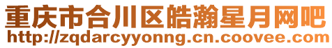 重慶市合川區(qū)皓瀚星月網(wǎng)吧