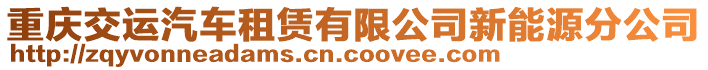 重慶交運汽車租賃有限公司新能源分公司