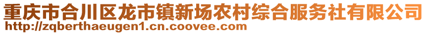 重慶市合川區(qū)龍市鎮(zhèn)新場農(nóng)村綜合服務社有限公司