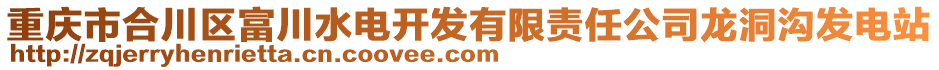 重慶市合川區富川水電開發有限責任公司龍洞溝發電站