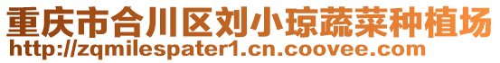 重慶市合川區(qū)劉小瓊蔬菜種植場
