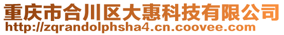 重慶市合川區大惠科技有限公司