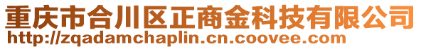 重慶市合川區(qū)正商金科技有限公司