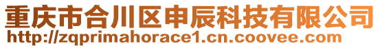 重慶市合川區(qū)申辰科技有限公司