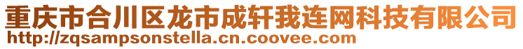 重慶市合川區龍市成軒我連網科技有限公司