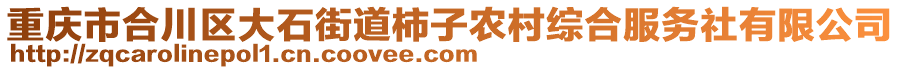 重慶市合川區(qū)大石街道柿子農(nóng)村綜合服務(wù)社有限公司