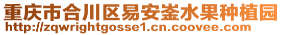 重慶市合川區易安崟水果種植園