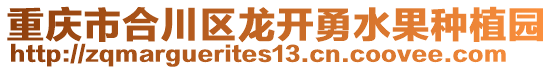 重慶市合川區龍開勇水果種植園