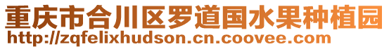 重慶市合川區(qū)羅道國(guó)水果種植園