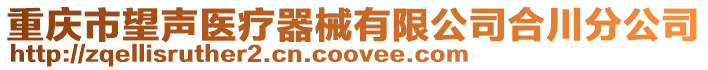 重慶市望聲醫療器械有限公司合川分公司