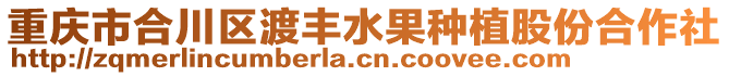 重慶市合川區渡豐水果種植股份合作社