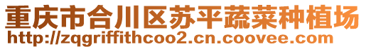 重慶市合川區蘇平蔬菜種植場