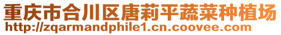 重慶市合川區唐莉平蔬菜種植場