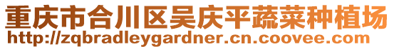 重慶市合川區(qū)吳慶平蔬菜種植場(chǎng)