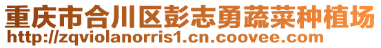 重慶市合川區(qū)彭志勇蔬菜種植場