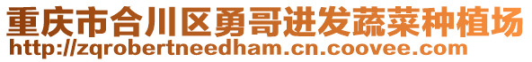 重慶市合川區勇哥進發蔬菜種植場