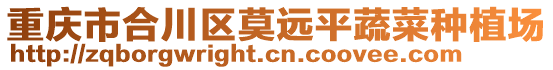 重慶市合川區莫遠平蔬菜種植場