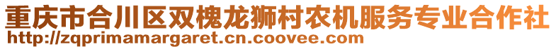 重慶市合川區(qū)雙槐龍獅村農(nóng)機服務(wù)專業(yè)合作社