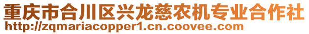 重慶市合川區(qū)興龍慈農(nóng)機(jī)專業(yè)合作社