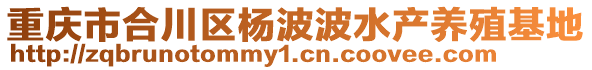 重慶市合川區楊波波水產養殖基地