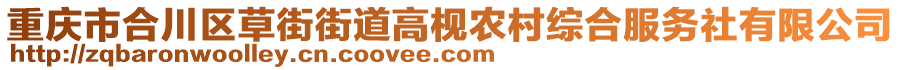 重慶市合川區(qū)草街街道高枧農(nóng)村綜合服務(wù)社有限公司