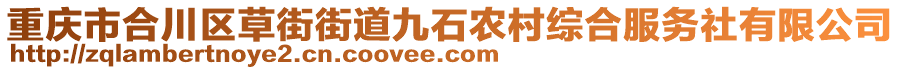 重慶市合川區(qū)草街街道九石農(nóng)村綜合服務(wù)社有限公司