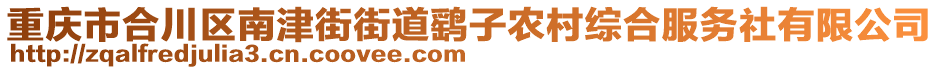 重慶市合川區(qū)南津街街道鷂子農(nóng)村綜合服務(wù)社有限公司