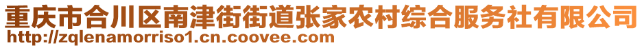 重慶市合川區(qū)南津街街道張家農(nóng)村綜合服務(wù)社有限公司