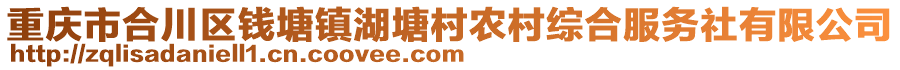 重慶市合川區(qū)錢塘鎮(zhèn)湖塘村農(nóng)村綜合服務(wù)社有限公司