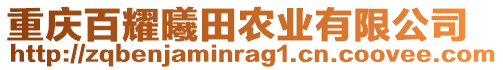 重慶百耀曦田農(nóng)業(yè)有限公司