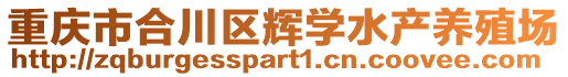 重慶市合川區(qū)輝學(xué)水產(chǎn)養(yǎng)殖場(chǎng)