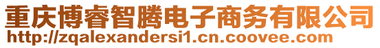 重慶博睿智騰電子商務(wù)有限公司