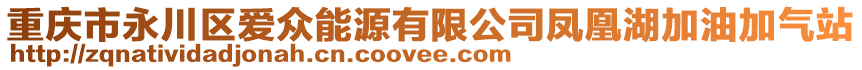 重慶市永川區(qū)愛(ài)眾能源有限公司鳳凰湖加油加氣站