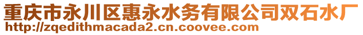 重慶市永川區(qū)惠永水務(wù)有限公司雙石水廠