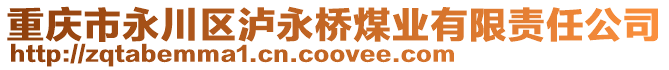 重慶市永川區(qū)瀘永橋煤業(yè)有限責(zé)任公司