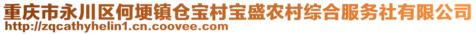 重慶市永川區(qū)何埂鎮(zhèn)倉(cāng)寶村寶盛農(nóng)村綜合服務(wù)社有限公司