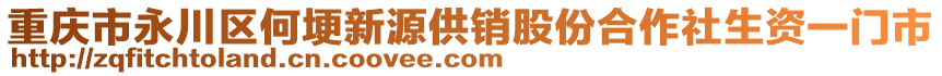 重慶市永川區(qū)何埂新源供銷股份合作社生資一門市