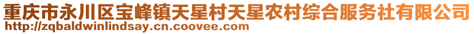 重慶市永川區(qū)寶峰鎮(zhèn)天星村天星農(nóng)村綜合服務(wù)社有限公司