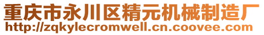 重慶市永川區(qū)精元機(jī)械制造廠